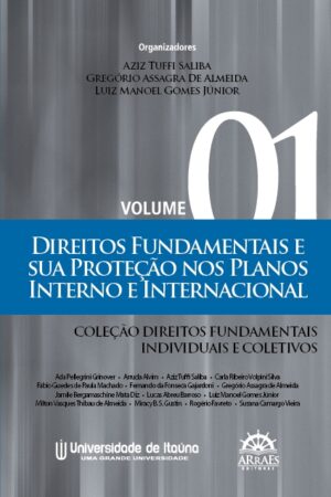 Direitos Fundamentais e Sua Proteção nos Planos Interno e Internacional - Vol.1-0